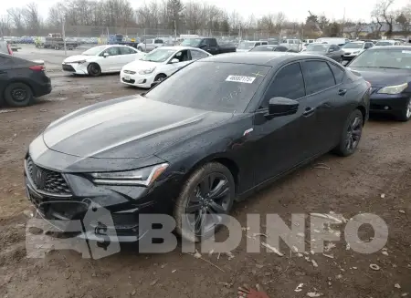 19UUB5F52MA009957
