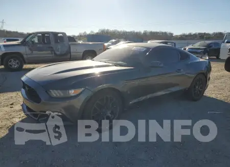 1FA6P8TH8G5328131