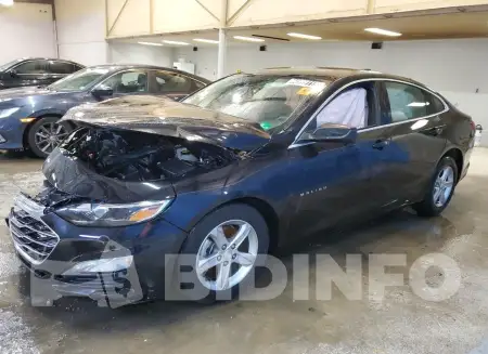 1G1ZD5ST1PF189810