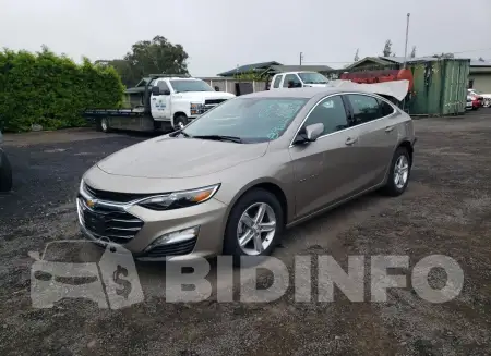 1G1ZD5ST4RF224018