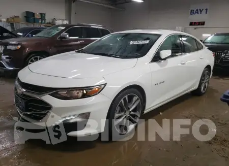 1G1ZD5ST8NF195584