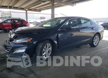 1G1ZD5ST5PF222307