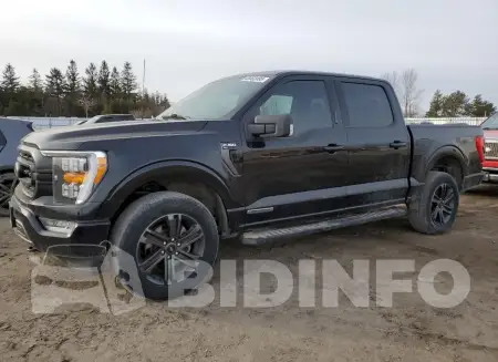 1FTFW1ED4MFB81908