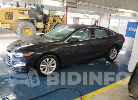 1G1ZD5ST1PF116646