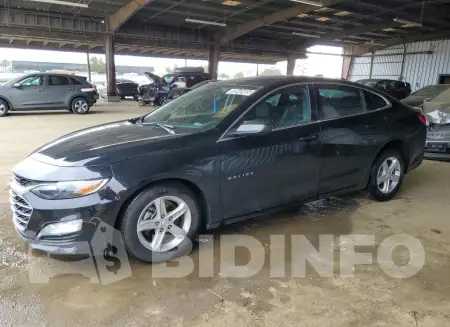 1G1ZD5ST5RF196150