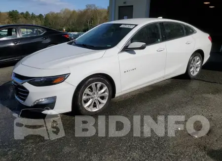 1G1ZD5ST6PF173618