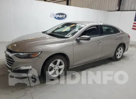 1G1ZD5ST5PF177031
