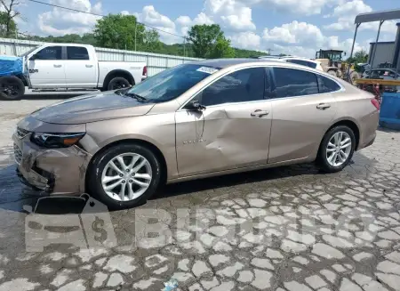 1G1ZD5ST6JF182813