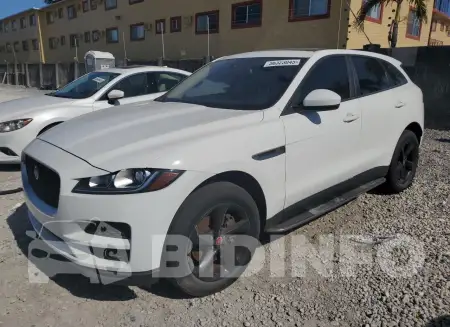 SADCJ2EVXJA268502