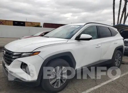 KM8JBCD14RU228460