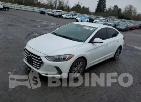 5NPD84LF9HH036706