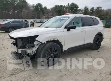 5J6RS6H91PL005539