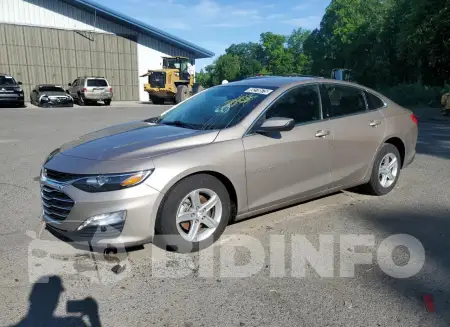 1G1ZD5ST8PF177458