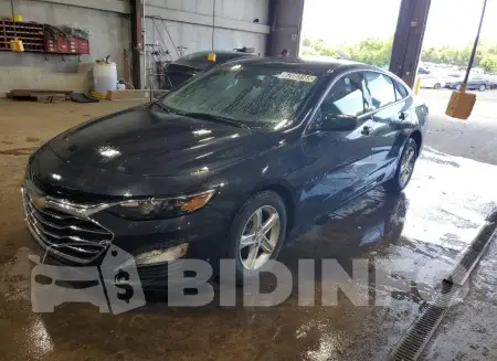 1G1ZD5ST1PF177849