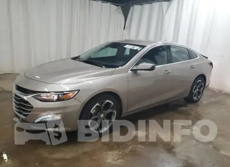 1G1ZD5STXPF220262