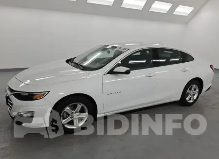 1G1ZD5ST6NF194871