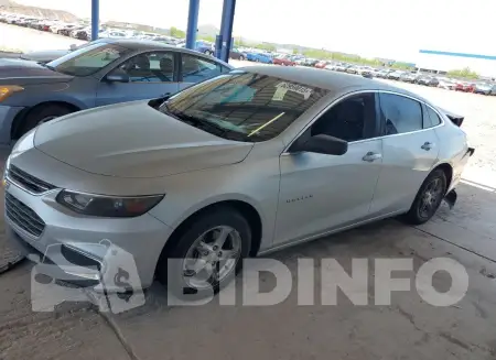 1G1ZB5ST5HF177862