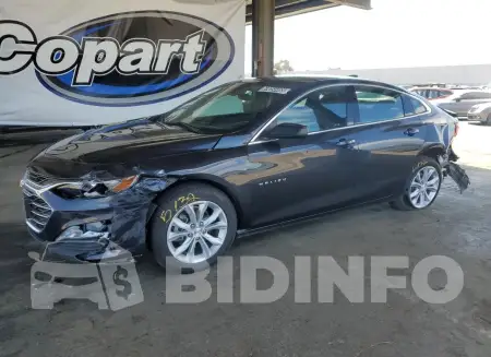1G1ZD5ST1PF183800