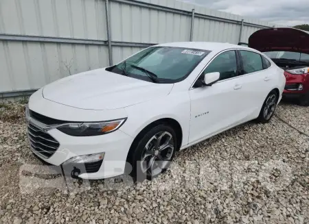 1G1ZD5ST8RF151901