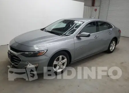 1G1ZD5STXPF221704