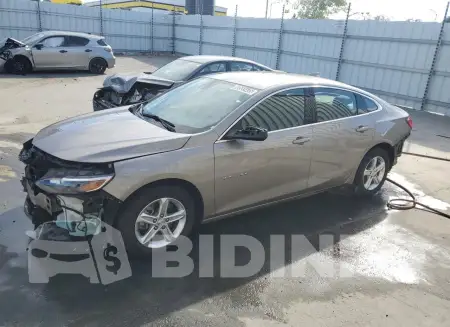 1G1ZD5ST3PF176296