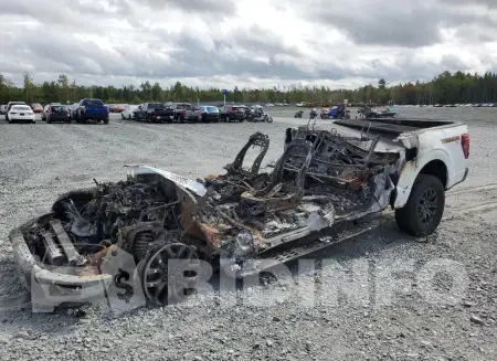 1FTFW4L81RFA78007