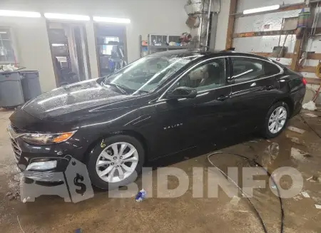 1G1ZD5ST6RF113695
