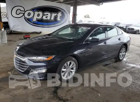 1G1ZD5ST3PF183846
