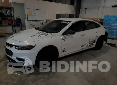 1G1ZB5ST6HF204812