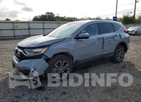 5J6RT6H84NL004242