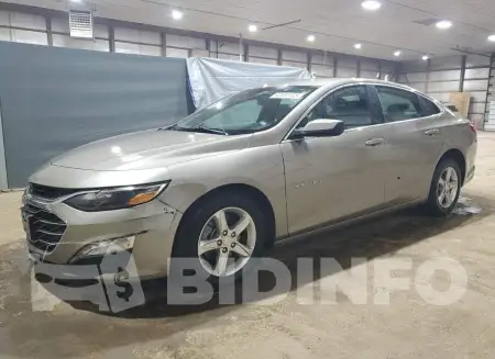 1G1ZD5ST8RF179519