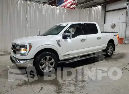 1FTFW1ED6MFB74667
