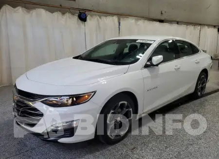 1G1ZD5ST5RF165156