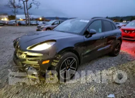 WP1AA2A50MLB13683