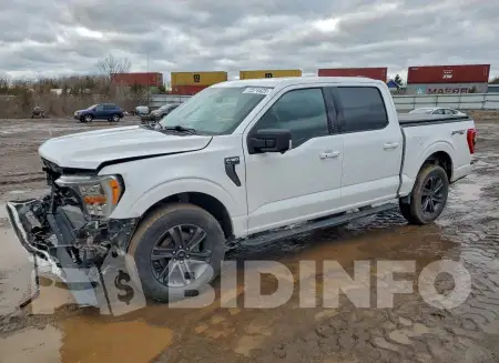 1FTEW1EP8MKD20967