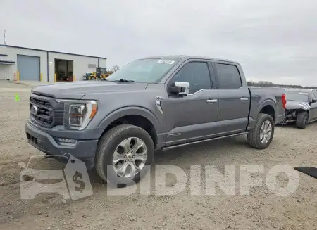 1FTFW1ED1MFB46209