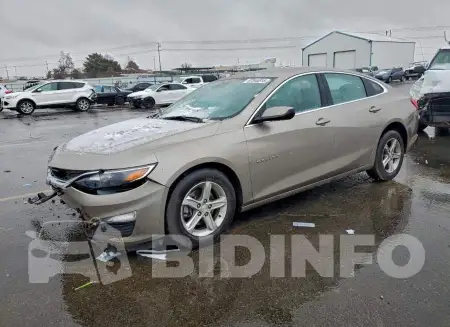 1G1ZD5ST8RF131955