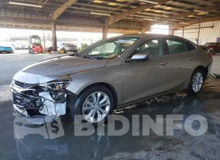 1G1ZD5ST6PF202826