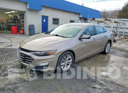 1G1ZD5ST5PF134650