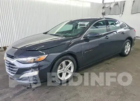 1G1ZD5ST2PF173874