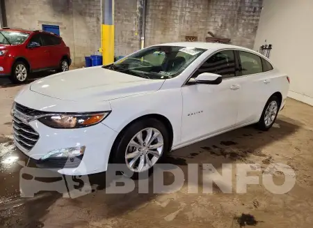 1G1ZD5ST3PF181675