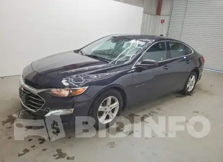 1G1ZD5ST5PF220086