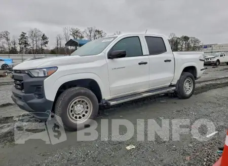 1GCPTBEK8R1199396