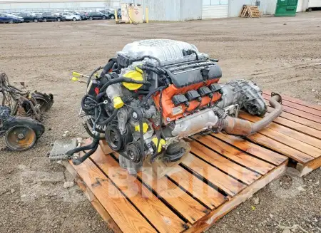47964026