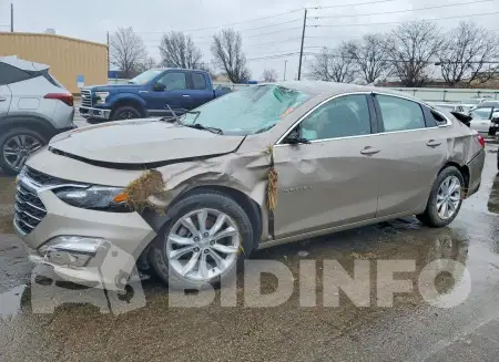 1G1ZD5STXPF177560