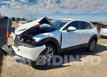 3MVDMBBL8MM310939