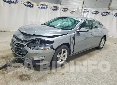 1G1ZD5ST6PF213597