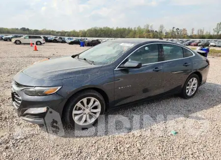1G1ZD5ST1LF096067