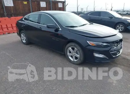 1G1ZD5ST5RF161902