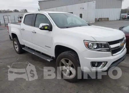 1GCGTCE36G1136812